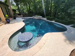 Pool Landscape Design The Woodlands TX